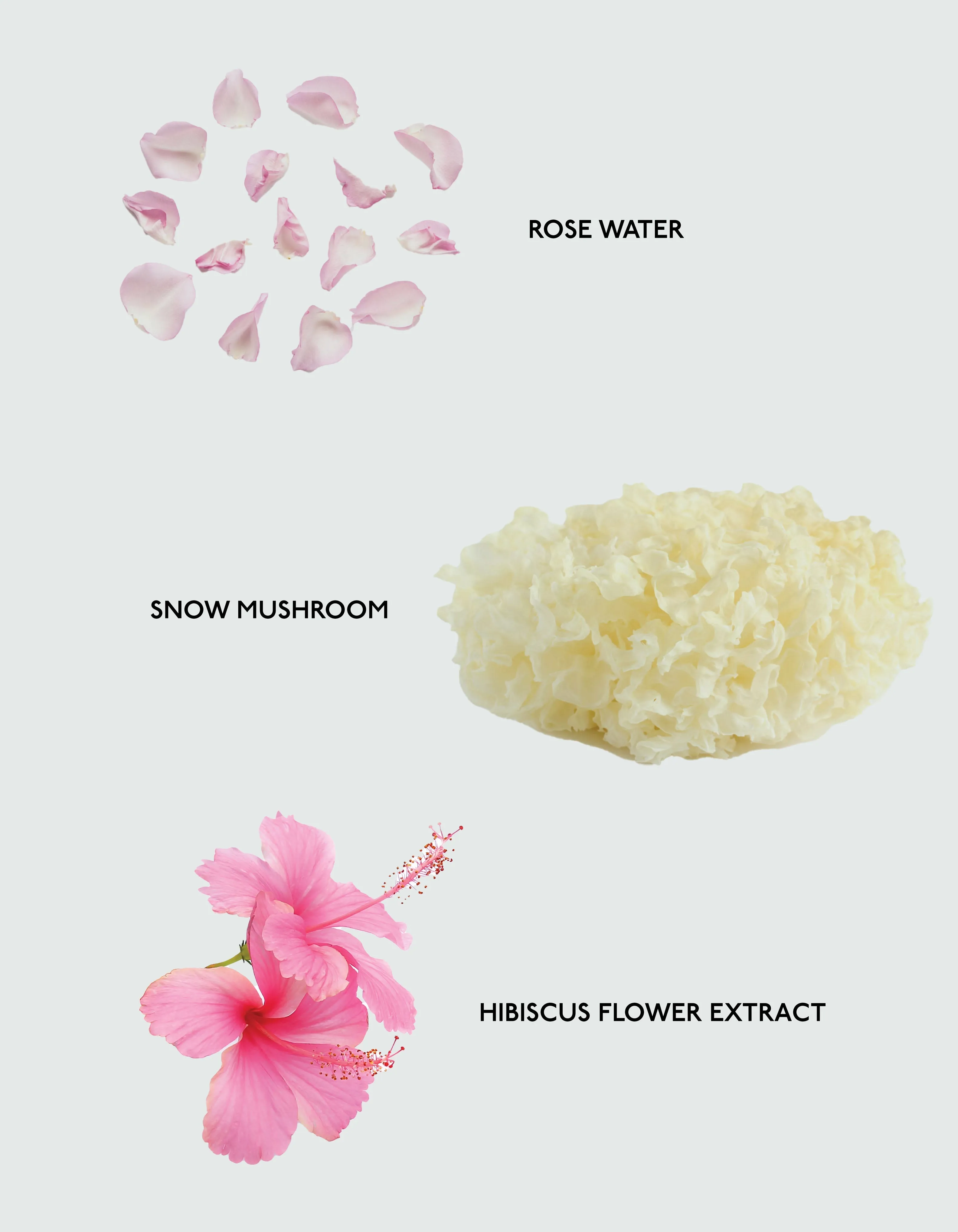 Balancing Face Mist